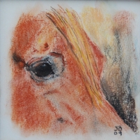 Erwartung Pastell 30x30cm incEurol. P.u.R